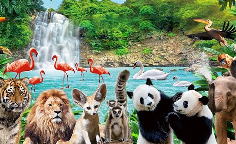 广州长隆野生动物园 一日游~-广州旅游攻略-游记-去哪儿攻略