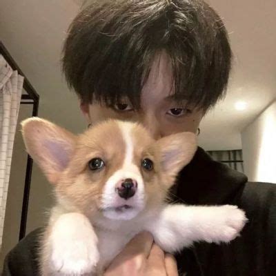 非主流狗的头像男生
