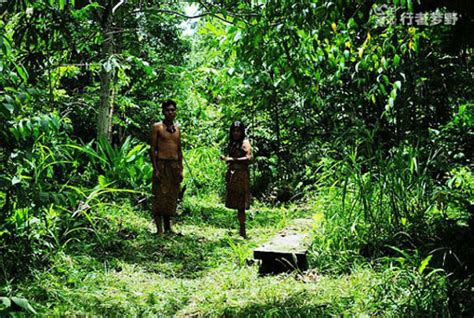 深入亚马逊印第安原始部落 零距离接触大蟒_旅游_环球网