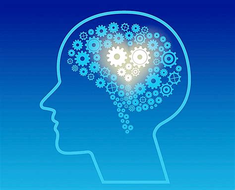AI人工智能读取人脑的心声，准确率高达75%，读心术有望成真|癫痫|心声|大脑_新浪新闻