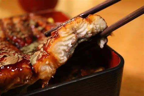【科普】日本人苦夏为什么爱吃鳗鱼-上海日本料理加盟-日料加盟品牌-【HARU KITCHEN披头士串烧料理官网】