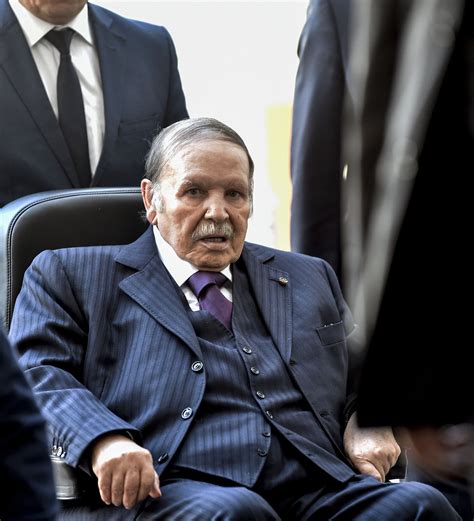 阿尔及利亚总理辞职 - 2019年3月12日, 俄罗斯卫星通讯社