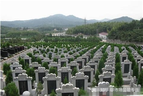 经营性公墓和公益性公墓的区别有哪些？-上海墓地网