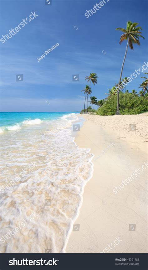 Idyllic Tropical Beach With White Sands, Turquoise Blue Waters And Palm ...