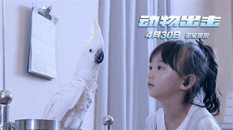 《动物出击》曝终极预告 首部儿童动物电影五一档上映_凤凰网