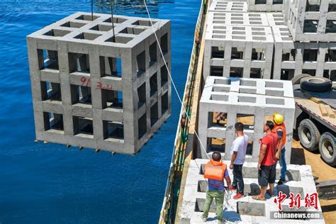 我院承办《仿生态混凝土鱼礁》标准行业标准制定第一次工作会议-建筑工程学院