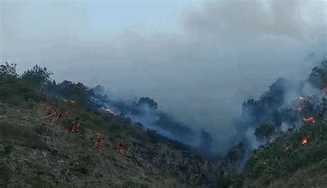 突发！四川凉山再发森林火灾，800多人正全力扑救
