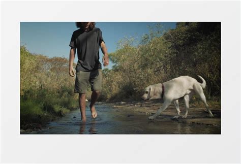 男人与狗系列-男人与宠物拉布拉多图片-高清图片-图片素材-寻图免费打包下载