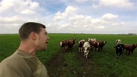 这绝对是学牛叫最像的人类！他一叫母牛全跑过来了_腾讯视频