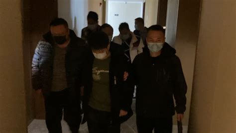 紧急提醒：近期此类案件高发！杭州警方打掉5个作案团伙！