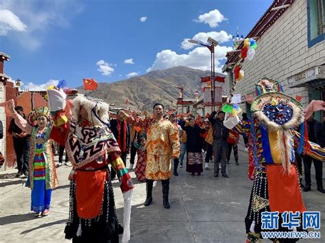 西藏青稞进入丰收季