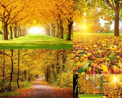 秋天的景色图片素材_免费下载_jpg图片格式_VRF高清图片500795479_摄图网
