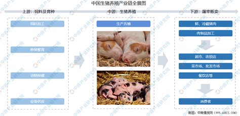 2021年中国生猪养殖产业链上中下游市场剖析（附产业链全景图）-中商情报网