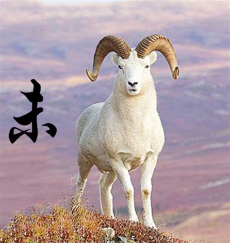 属羊的古今名人书法更是一绝-搜狐