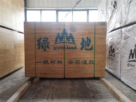 江苏海子木业 高层**建筑模板、绿地品牌覆膜板、菲林板 - 绿地 - 九正建材网