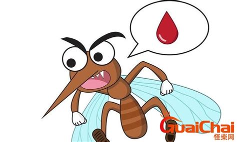 什么血型招蚊子叮咬？什么血型招蚊子最多