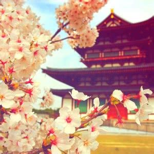 非主流哲理头像