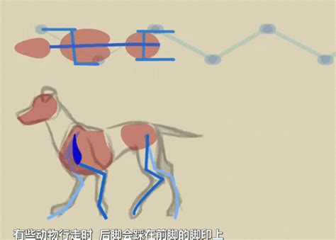 斯坦福机器狗的设计与实现 手把手教你写出小跑步态程序 - 元享技术