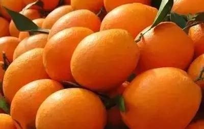 2021赣南脐橙博览会盛大开幕 - 新闻资讯 - 信丰脐橙网