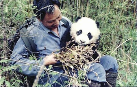 中国网：浙江传媒学院有个日本外教 想给全中国的熊猫拍照-浙江传媒学院