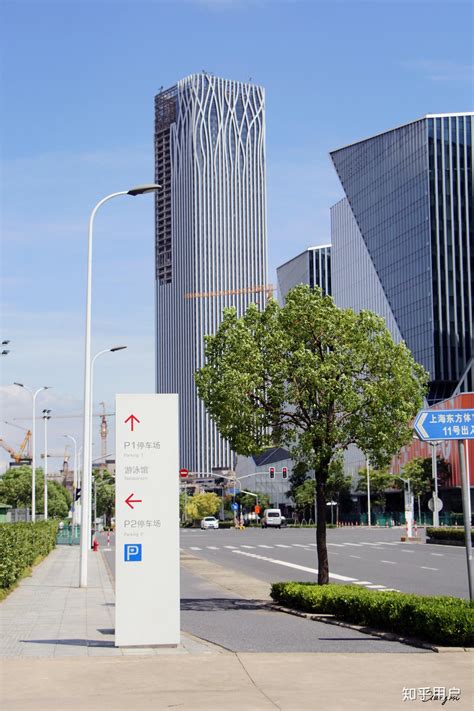 第32次上海市市长国际企业家咨询会议举行，近40位“国际高参”为上海发展献策|界面新闻
