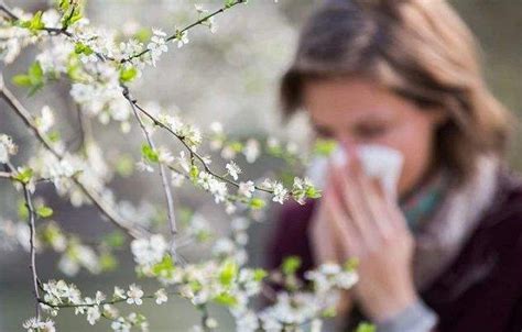 如何做好花粉过敏的防护？--江都日报