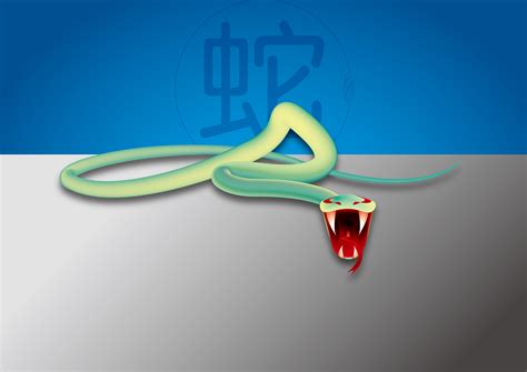 手绘光影线条蛇年海报设计图片下载_红动中国