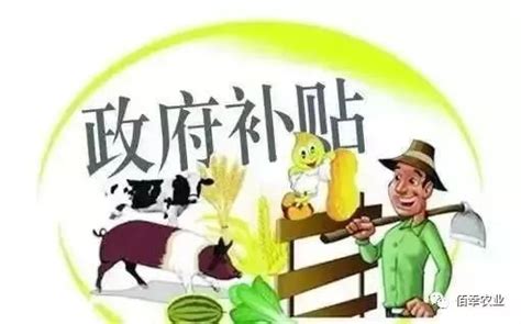 【中国三农报道】我国玉米种业将在绿色优质方向发力