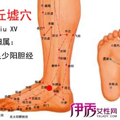 脚学位大全图片