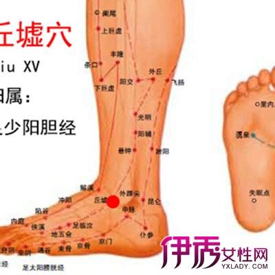 命门的准确位置图(4)_配图网