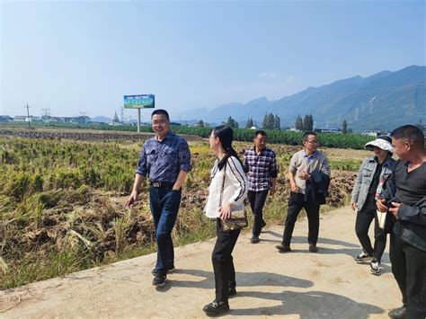 农学院民主党派专家赴雅安芦山考察 助力建设新时代高水平天府粮仓-四川农业大学新闻网