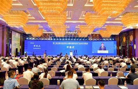 第二届中国光电材料大会暨硅基新材料产业合作对接会举行_蚌埠