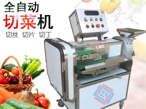 TW-802 小型切菜机 - 食品机械设备 - 广州市天烨食品机械有限公司