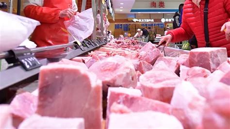 猪肉价格上涨 猪周期或再现？ - 养猪动态 - 第一农经网