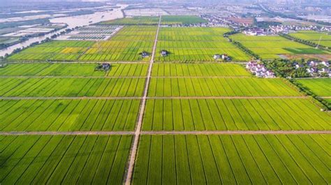 山西长治屯留区：六万亩辣椒基地建设开启农业发展史上的新变革_县域经济网