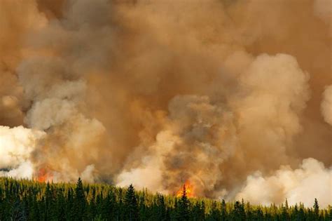 加拿大进入严峻山火季——干热天气下 需重视山火风险