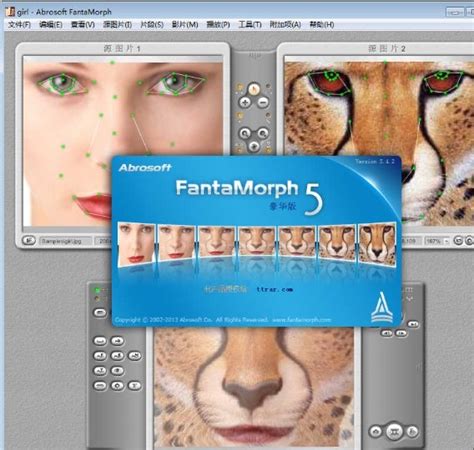 face变脸软件软件截图预览_当易网