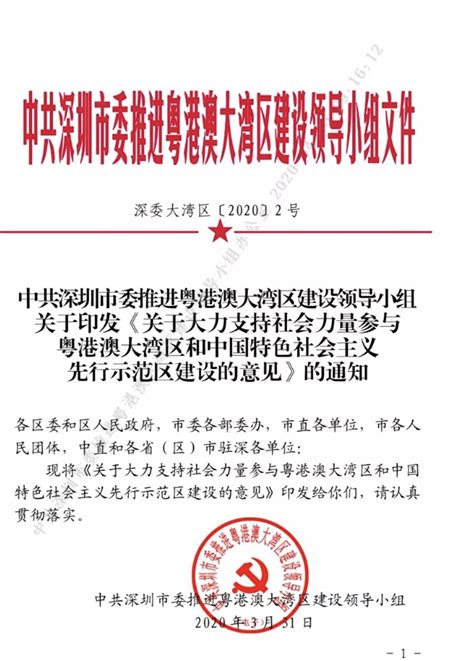 深圳出台重磅《意见》支持社会力量参与“双区”建设_深圳新闻网