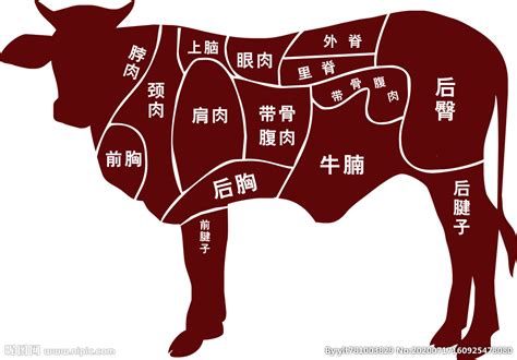 牛肉图解部位名称图片