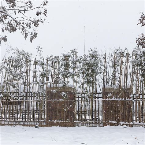 北京2021年的第一场冬雪，比以往时候来的更早一些！用Python采集历史天气数据，带你赏一赏~-轻识