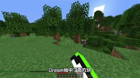 Dream和Gerge我的世界图片