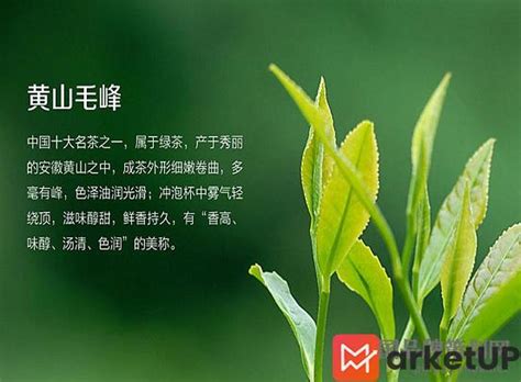 浅析黄山毛峰茶叶品牌营销_Marketup营销自动化