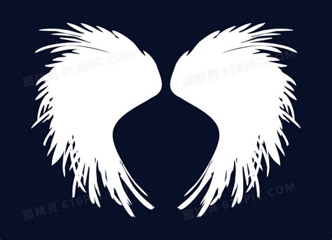 天使翅膀图片-星空下的天使翅膀素材-高清图片-摄影照片-寻图免费打包下载