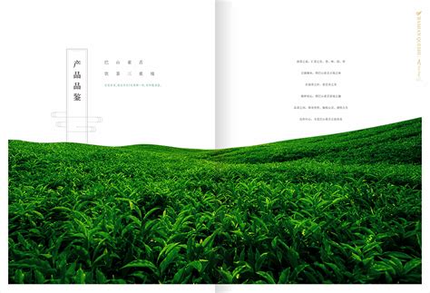 茶叶宣传册设计--巴山雀舌|平面|书籍/画册|Midting - 原创作品 - 站酷 (ZCOOL)