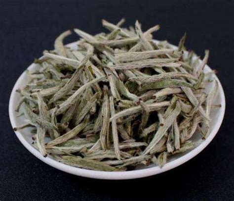 白茶功效与作用禁忌症 白茶的六大功效 白茶禁忌-信阳毛尖茶叶网