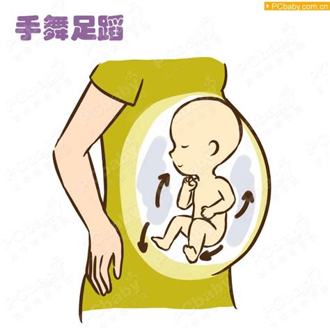 每个宝宝在妈妈的肚子里面是怎么样成长、怎么样变化的呢_资讯频道_东方养生