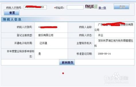 中国税收居民身份认定规则,中国纳税人识别号编码规则