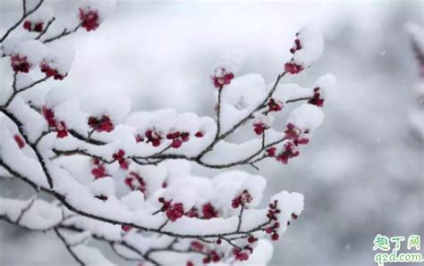 大雪 | 至此雪盛，愿君冬安-绥化学院文学与传媒学院