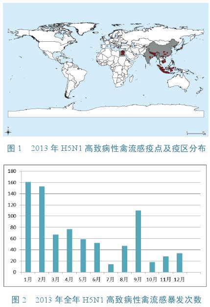 农业部：H7N9亚型禽流感疫苗将投入生产使用|界面新闻 · 中国