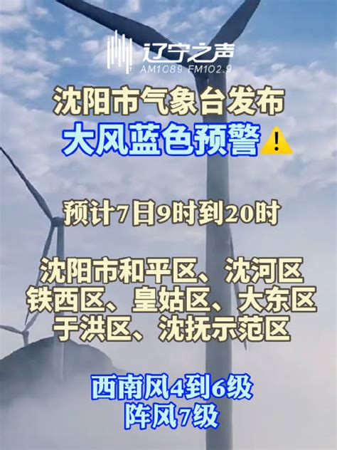 沈阳市气象台发布大风蓝色预警信号:预计7日9时到20时……|沈阳市|气象台|大风_新浪新闻